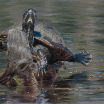 Schilderij getiteld "Sunnin' Turtle" door Reidsart, Origineel Kunstwerk, Pastel