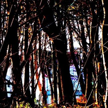 Fotografie getiteld "ostsee-dschungel" door Sigrun Neumann (Sineu), Origineel Kunstwerk