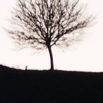 Photographie intitulée "contact" par Thomas Eeckman, Œuvre d'art originale