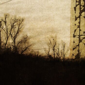 Photographie intitulée "helene-mongin-arbor…" par Hélène Mongin, Œuvre d'art originale