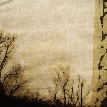 Photographie intitulée "helene-mongin-arbor…" par Hélène Mongin, Œuvre d'art originale