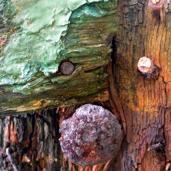 Photographie intitulée "assemblage.jpg" par Claude Guillemet, Œuvre d'art originale, Photographie numérique