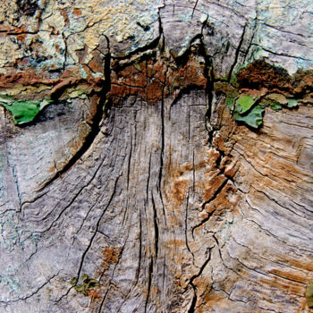 Photographie intitulée "volcan.jpg" par Claude Guillemet, Œuvre d'art originale, Photographie numérique