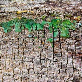 Peinture intitulée "(dé)composition en…" par Claude Guillemet, Œuvre d'art originale, Huile