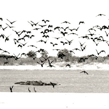 Photographie intitulée "le Chari vers N'Dja…" par Claude Guillemet, Œuvre d'art originale, Photographie non manipulée