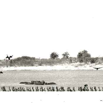 Photographie intitulée "le Chari vers N'Dja…" par Claude Guillemet, Œuvre d'art originale, Photographie non manipulée