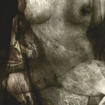 Digital Arts titled "UN NU EN BOIS...." by Philippe Berthier, Original Artwork, Photo Montage