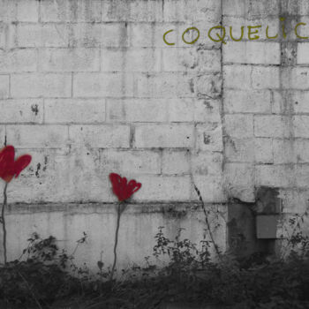 Photographie intitulée "Les coquelicots" par Philippe Rozier (Photo-EOS), Œuvre d'art originale, Photographie numérique