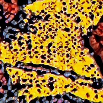 Digital Arts titled "REV-1-1-4" by José Bosch, Original Artwork