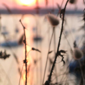 Photography titled "Sur le golfe" by Ln Le Cheviller, Original Artwork