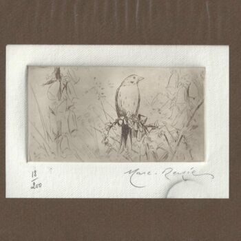 Εκτυπώσεις & Χαρακτικά με τίτλο ""Oiseau" de Marc-Ré…" από André Colpin, Αυθεντικά έργα τέχνης, Etching