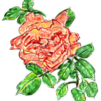 Painting titled "Rose de septembre" by Bertrand Daullé, Original Artwork, Watercolor