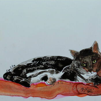 Painting titled "Carlita." by Maryline Mercier, Original Artwork, Ink