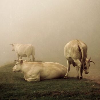 「Au Bout du Monde...」というタイトルの写真撮影 Philippe Berthierによって, オリジナルのアートワーク, デジタル
