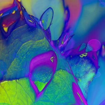 Digitale Kunst mit dem Titel "MICROCOSME" von Catherine Wernette, Original-Kunstwerk, Digitale Malerei