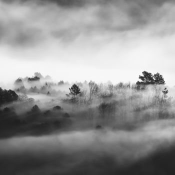 Photographie intitulée "Brumes matinales .27" par Alain Brasseur, Œuvre d'art originale
