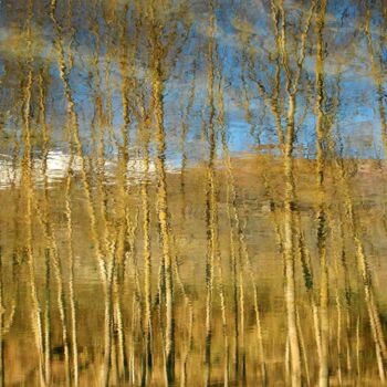 "La Mécanique des Co…" başlıklı Fotoğraf Philippe Berthier tarafından, Orijinal sanat, Dijital Fotoğrafçılık