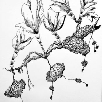 Dessin intitulée "tuberculoide1" par Catherine Cazaentre, Œuvre d'art originale
