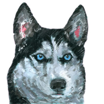 Zeichnungen mit dem Titel "siberian-husky A Li…" von Jb Studio, Original-Kunstwerk, Kohle