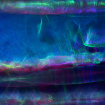 Photography titled "20.000 lieux sous l…" by Rachèd Zarraï Miladi (Le mutagraphe), Original Artwork