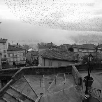 Photography titled "Vol d'étourneaux" by Valery Trillaud, Original Artwork, Non Manipulated Photography