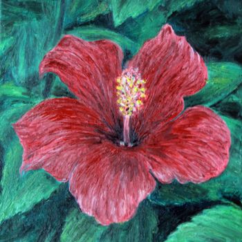 Peinture intitulée "Hibiscus rosa-sinen…" par José A Cavaco, Œuvre d'art originale, Huile