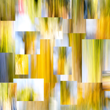 Photography titled "Arboreum" by Daniele Calvani, Original Artwork, Digital Photography Mounted on Aluminium