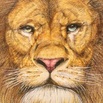 Drawing titled "The Regal Lion" by Kent Chua, Original Artwork, Other