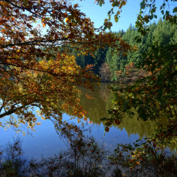 Photography titled "couleurs d'automne…" by Miodrag Aubertin, Original Artwork