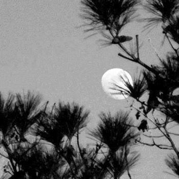 Photography titled "Caresse" by Monique Anna Michel, Original Artwork