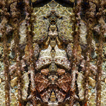Arts numériques intitulée "Acquaugen" par M. Rignol Rogliano, Œuvre d'art originale, Photo montage
