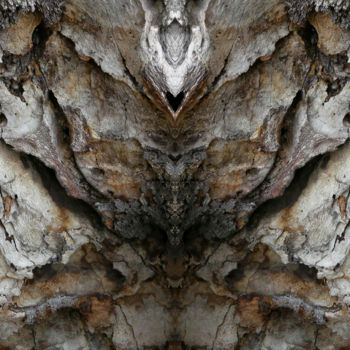 Arts numériques intitulée "Peacock" par M. Rignol Rogliano, Œuvre d'art originale, Photo montage
