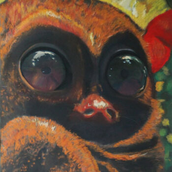 Peinture intitulée "Le lémurien" par Catherine Costet (Lccat), Œuvre d'art originale, Pastel