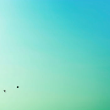 Fotografía titulada "Up and Down" por Tal Paz-Fridman, Obra de arte original, Fotografía digital