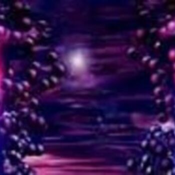 Digital Arts titled "Guess 4 by Christop…" by Christophe Fauconneau, Original Artwork