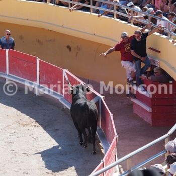 Photography titled "162.jpg" by Mariano Moriconi, Original Artwork