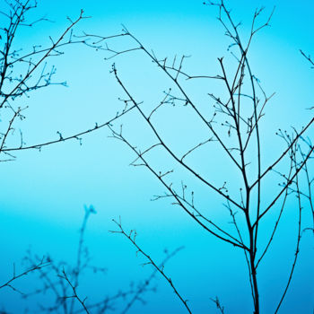 Photography titled "Twilight in the out…" by Tal Paz-Fridman, Original Artwork, Digital Photography