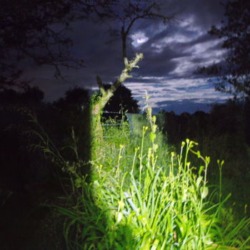 Photography titled "Clair de lune 25" by Miodrag Aubertin, Original Artwork