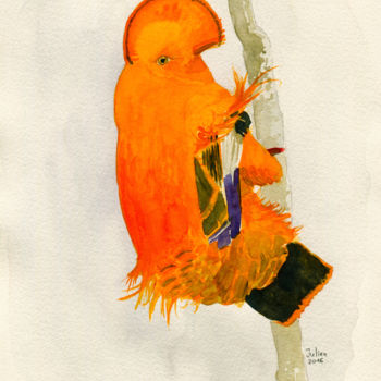 Painting titled "Galo da serra" by Julien Cachemaille, Original Artwork, Watercolor
