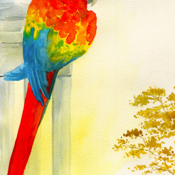 Painting titled "Araracanga" by Julien Cachemaille, Original Artwork, Watercolor