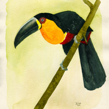 绘画 标题为“Tucano de bico preto” 由Julien Cachemaille, 原创艺术品, 水彩