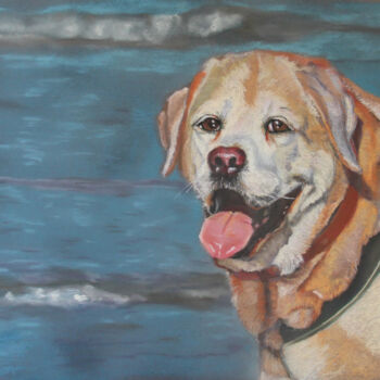 Peinture intitulée "Syrus" par Catherine Costet (Lccat), Œuvre d'art originale, Pastel