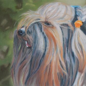 Peinture intitulée "Octave" par Catherine Costet (Lccat), Œuvre d'art originale, Pastel