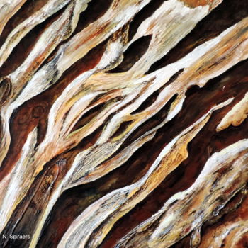 Peinture intitulée "Ecorce d'olivier" par Nicole Spiraers, Œuvre d'art originale, Acrylique