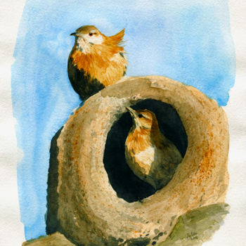 Painting titled "João de barro" by Julien Cachemaille, Original Artwork, Watercolor