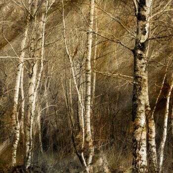 Fotografie getiteld "FUNERAILLES........" door Philippe Berthier, Origineel Kunstwerk, Digitale fotografie