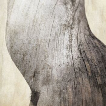 摄影 标题为“Etc,Etc,Etc........…” 由Philippe Berthier, 原创艺术品, 操纵摄影