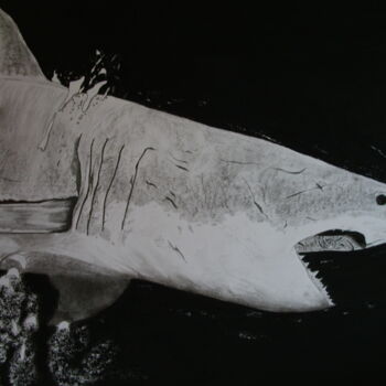 Drawing titled "Requin" by Franck Lepeuple, Original Artwork, Other