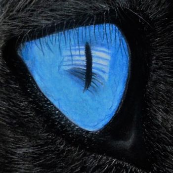 Desenho intitulada "Œil de chat 4" por Patricia Neveux, Obras de arte originais, Pastel