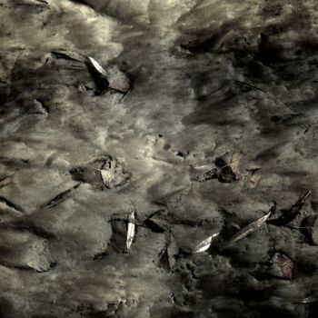 Fotografie getiteld "Sous L'Eau.........…" door Philippe Berthier, Origineel Kunstwerk, Digitale fotografie